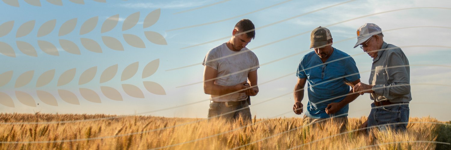 uswheatassoc's profile banner image