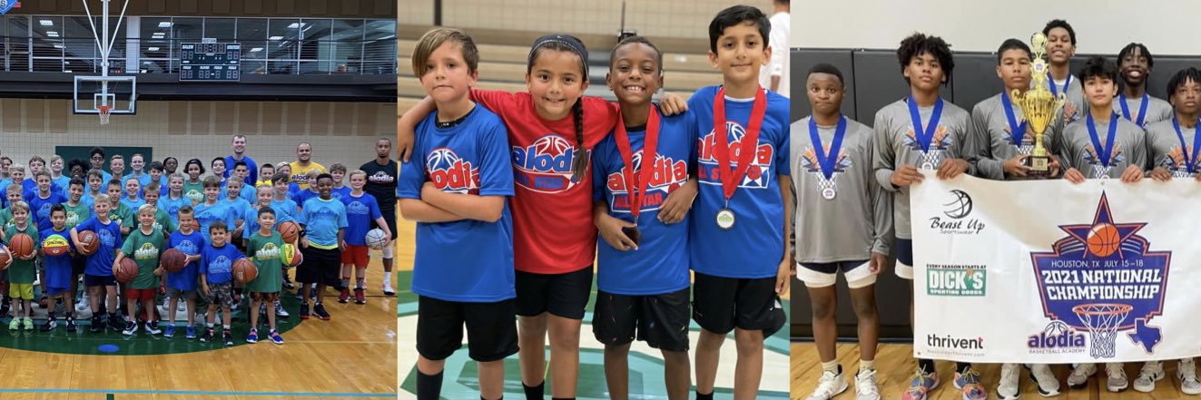 Alodia Basketball banner