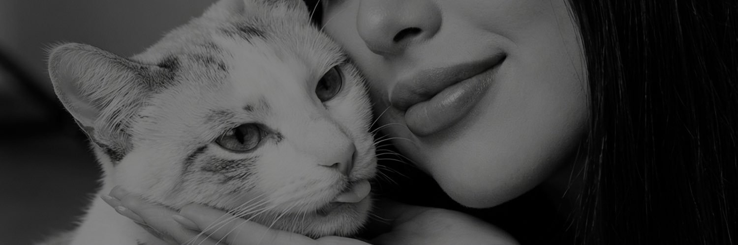 andy🐚 banner