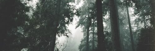 Alcia🤱🏽 banner