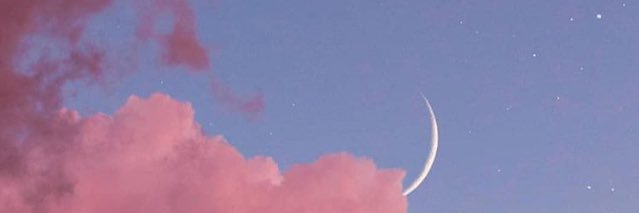 thelilfox's profile banner image