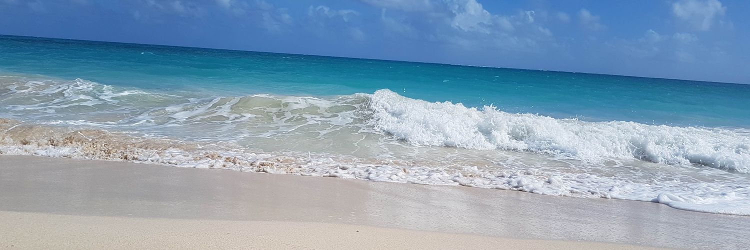 ferpalomarb's profile banner image