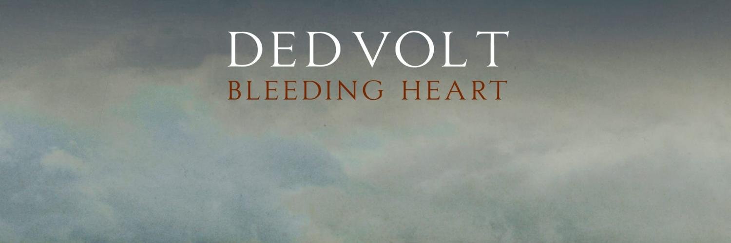 DedvoltDedvolt's profile banner image