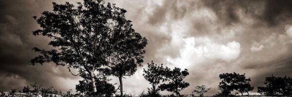 symages Profile Banner