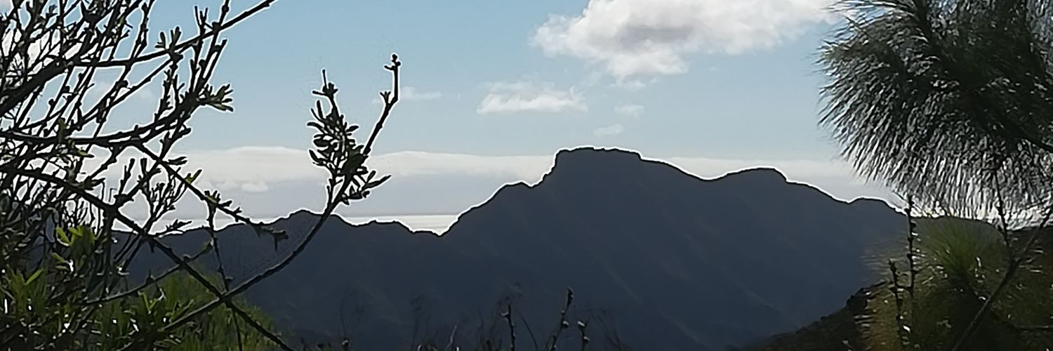 Estrella banner