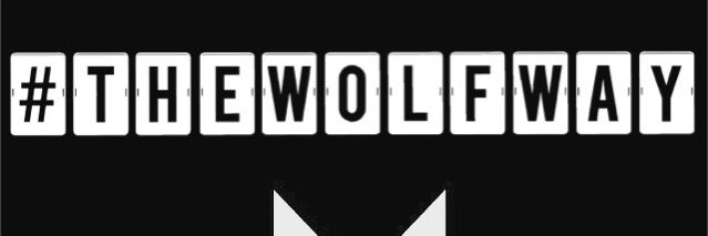 wolfe19's profile banner image