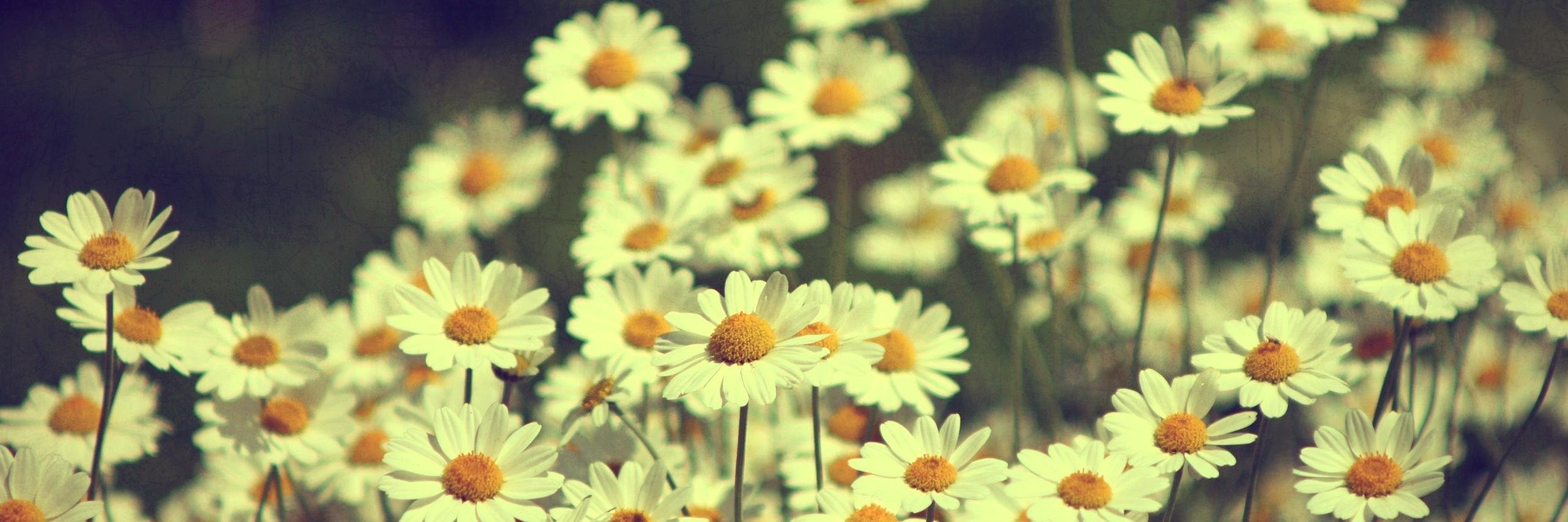 Mariuska30's profile banner image