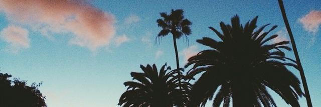 doutrinada_'s profile banner image