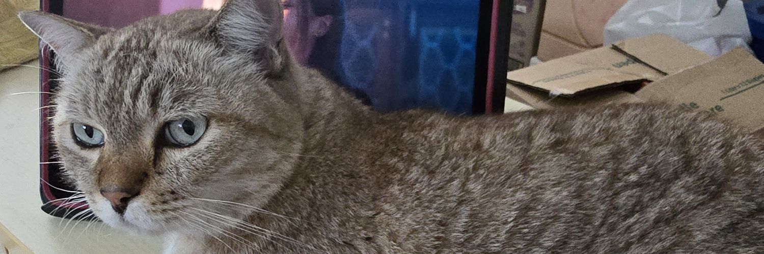 พี่พิ้งกี้ support fot fot banner