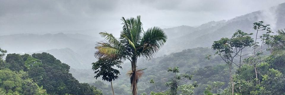 ellenmharris's profile banner image