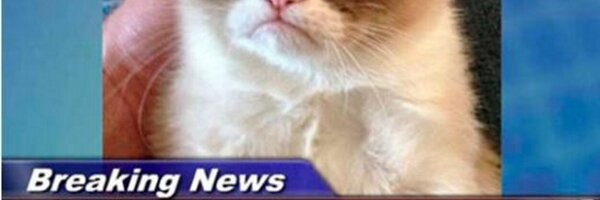 MatiasChiP Profile Banner