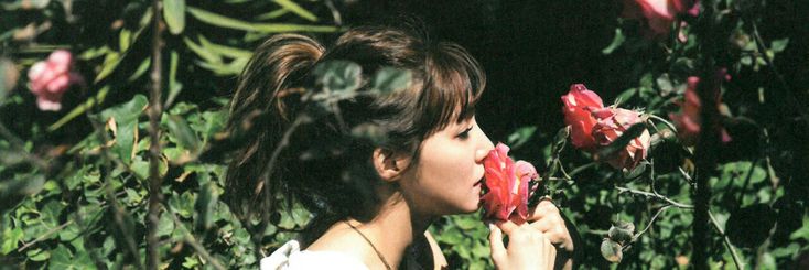 starlightiffany's profile banner image