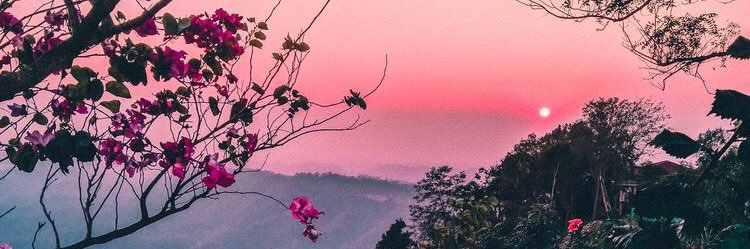 rufusb1rd's profile banner image