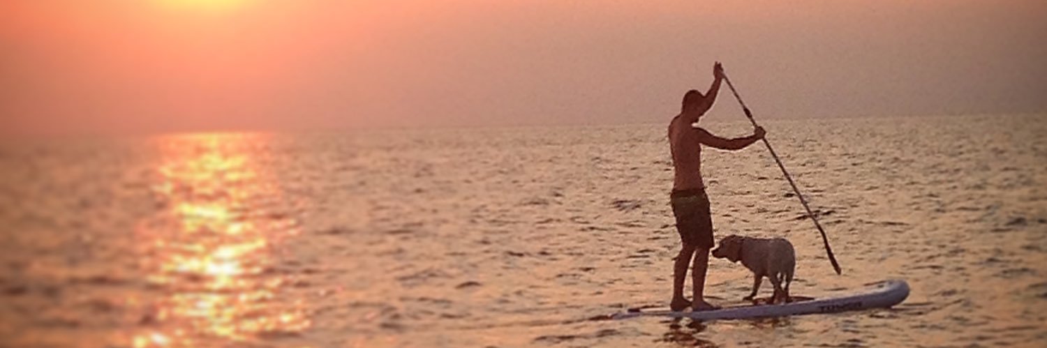 devin1130's profile banner image