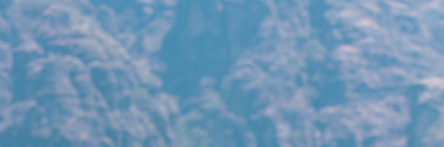 Ferfi__'s profile banner image