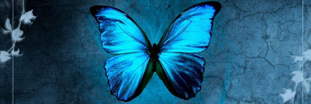 SolarAngels625's profile banner image