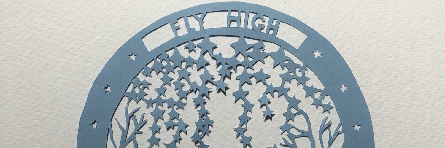 PaddyGriffin2's profile banner image