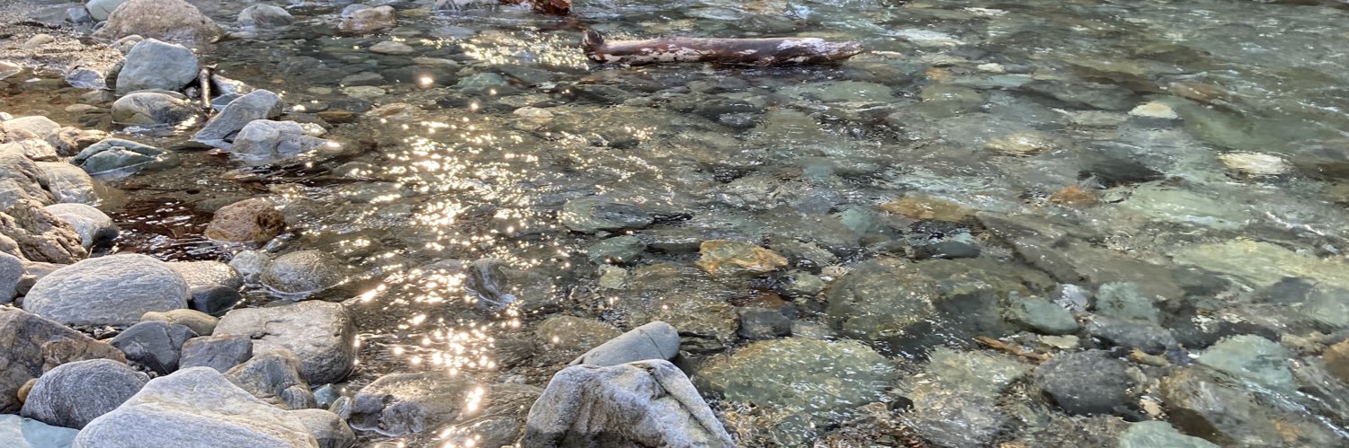 Murat C. Yalçıntan banner