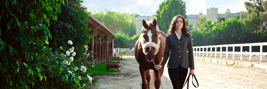 The Fluffball banner