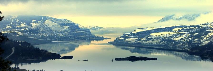 Robert Scheller banner