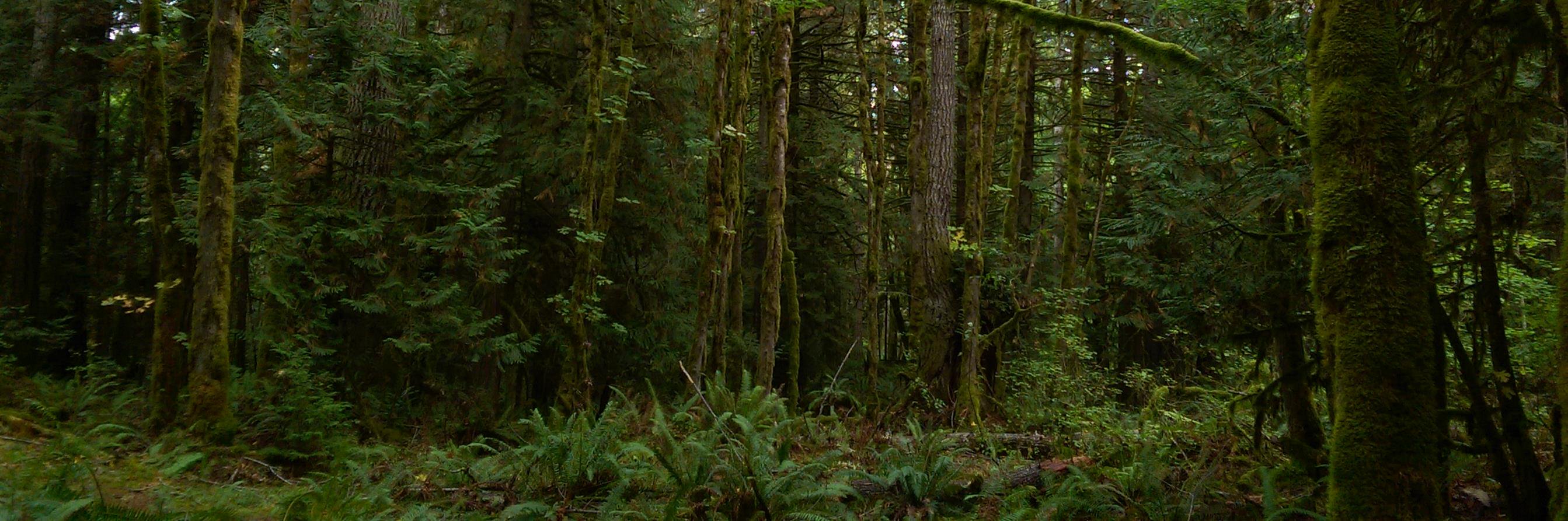 j_ross83's profile banner image