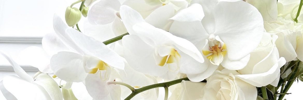 fernanda_vite's profile banner image
