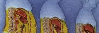 nutrier1's profile banner image