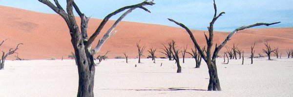 marmiton_man Profile Banner