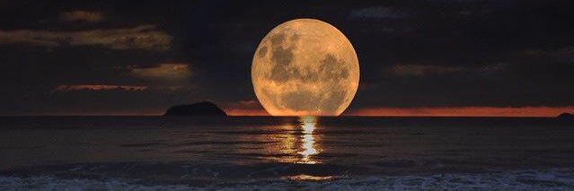 منيف الجراش banner