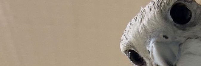 t_s355's profile banner image