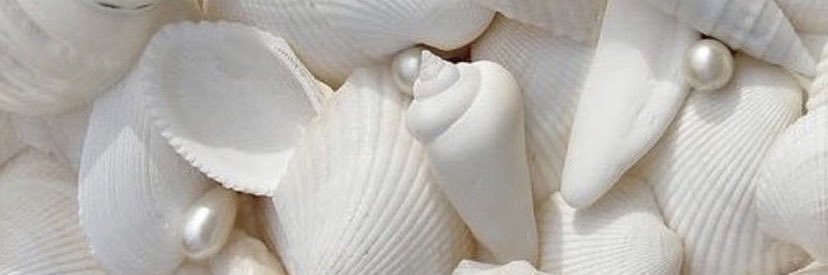 ebruertopuz's profile banner image