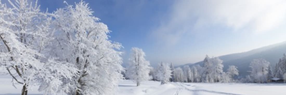 Rafael Lambert banner