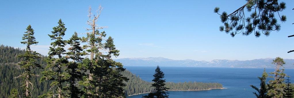 Dynamic Ecos Lab banner