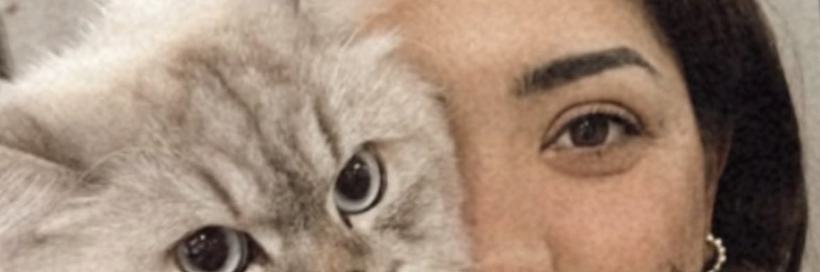 sedatokkusoglu's profile banner image