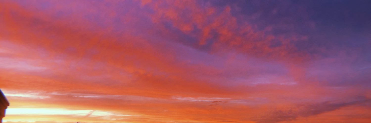 lexisniccole's profile banner image