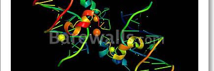 Tax Revolt Now banner