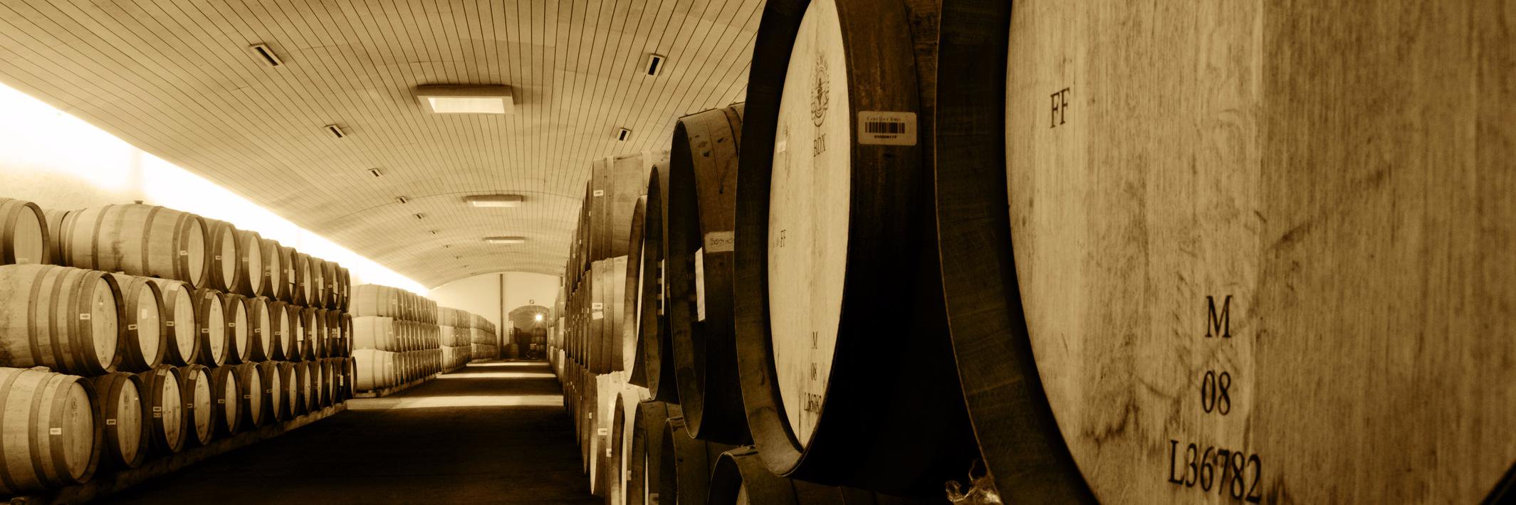 VINEYARD_99's profile banner image