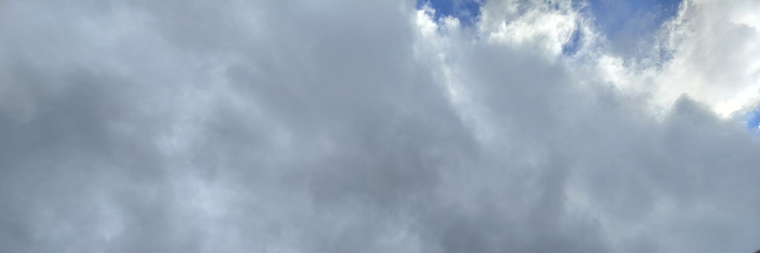 seydalir's profile banner image