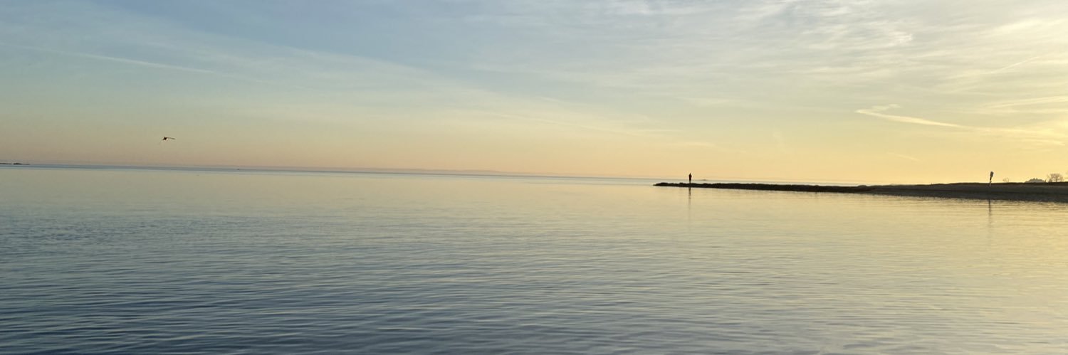 laur_tal's profile banner image