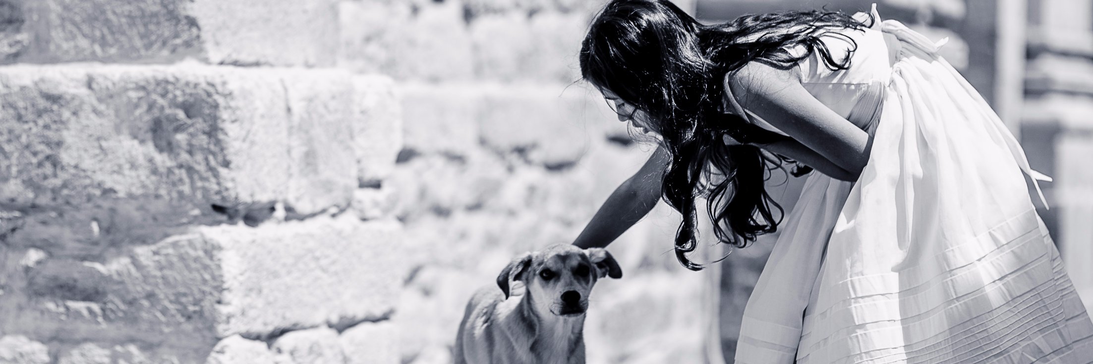 Zoilacoronelr's profile banner image