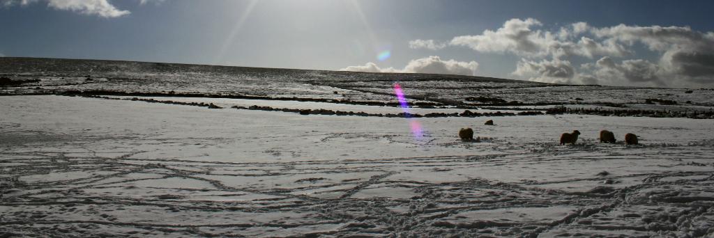 TimGrimes90's profile banner image
