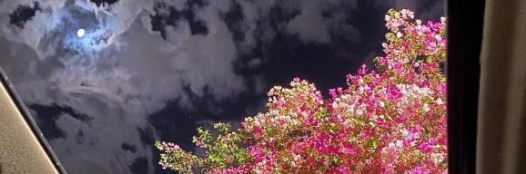 yasmxnaa's profile banner image