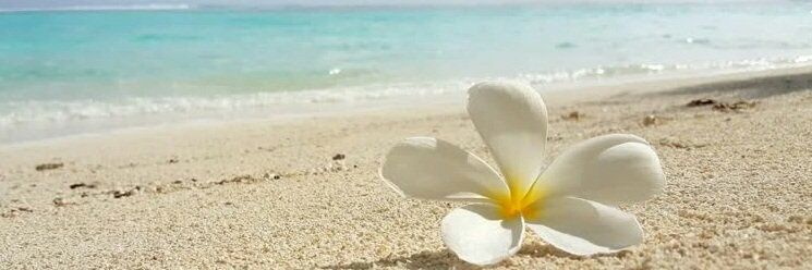 samira_bakeer's profile banner image