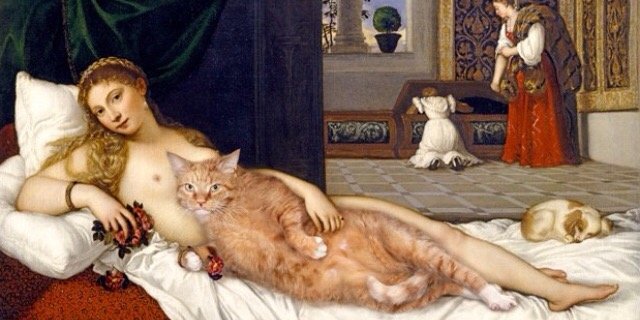 Elisabetta F. banner