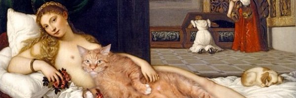 LizzyFlour Profile Banner