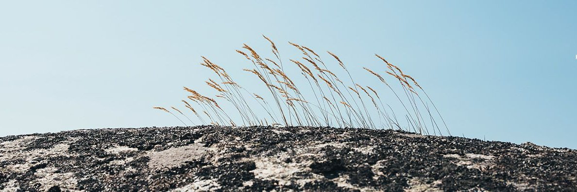 ottobergman's profile banner image