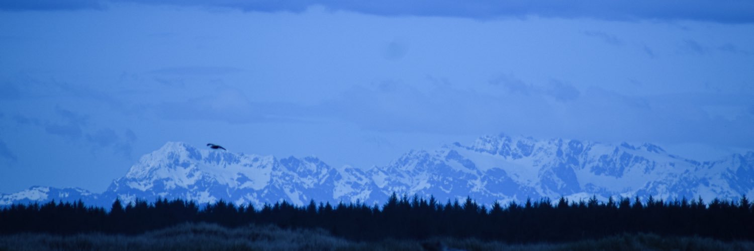 HLTaylor253's profile banner image