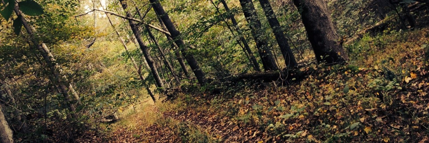 A_Caroline22's profile banner image