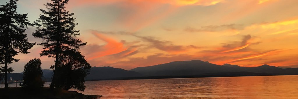 lardarc's profile banner image