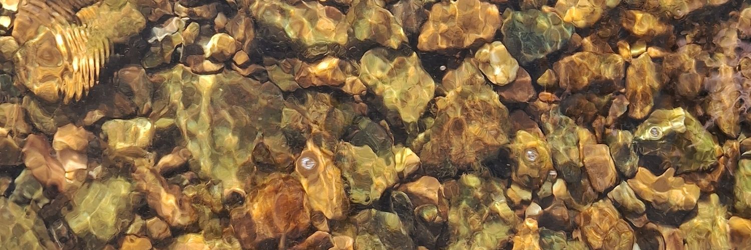Romipeilmann's profile banner image